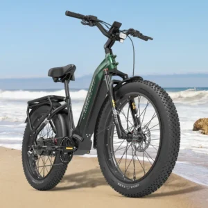 Lankeleisi MG600 Plus 2025 Vélo Électrique Fat Bike 1000W 48V 20Ah Samsung 26x4.0" Suspension Intégrale