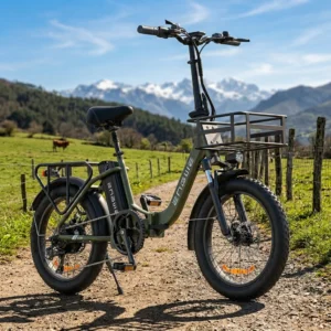 ENGWE L20 SE Vélo Électrique Pliable 20" 250W 36V 15,6Ah 561Wh Cadre Bas Autonomie 115 km