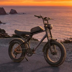 Vakole Q20 MAX Vélo Électrique Fat Bike 20" Double Moteur 750W x2 Batterie Samsung 48V 20Ah 960Wh Tout Suspendu