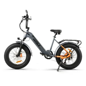 Vakole SG20 Vélo Électrique Fat Bike 20" 250W Batterie LG 48V 14,4Ah 691Wh Autonomie 110 km Freins Hydrauliques